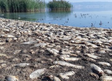 Η λίμνη Κορώνεια ξανά σε κίνδυνο – Άμεσα μέτρα καλείται να λάβει η Περιφέρεια ΚΜ