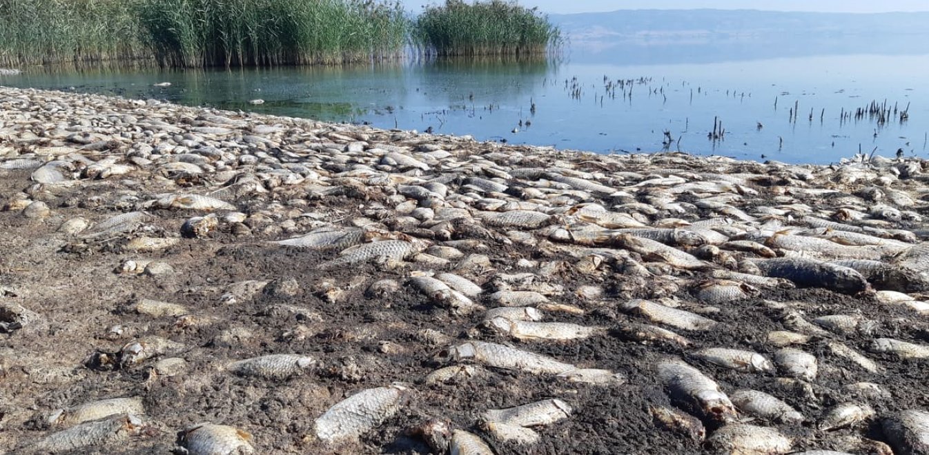 Η λίμνη Κορώνεια ξανά σε κίνδυνο – Άμεσα μέτρα καλείται να λάβει η Περιφέρεια ΚΜ
