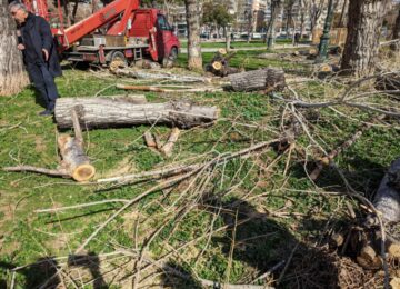 Βίαιες προσαγωγές οικολόγων για τα δέντρα στην Ρωμαϊκή Αγορά της Θεσσαλονίκης